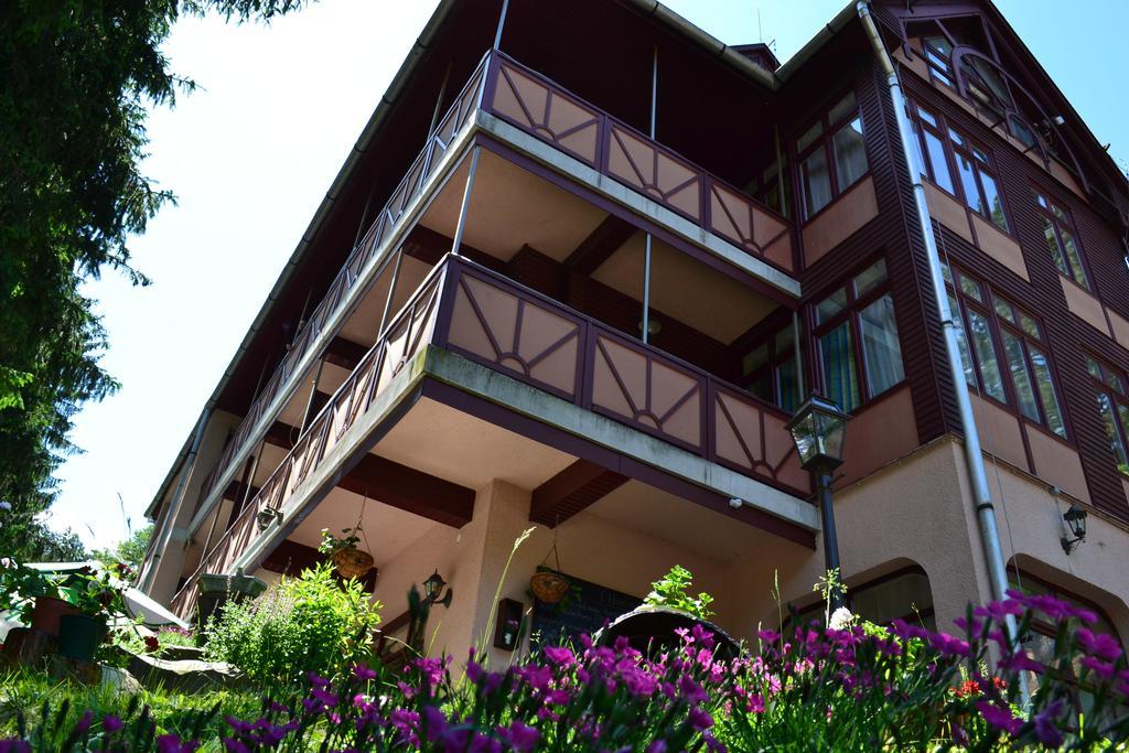 Ezuestfenyo Hotel Telkibánya Εξωτερικό φωτογραφία